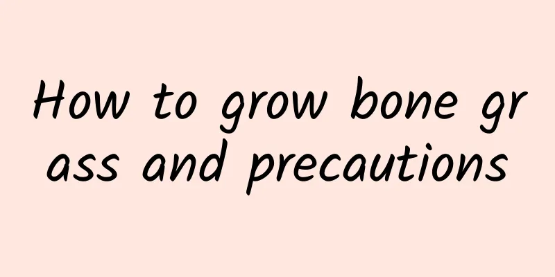 How to grow bone grass and precautions