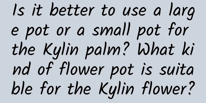 Is it better to use a large pot or a small pot for the Kylin palm? What kind of flower pot is suitable for the Kylin flower?