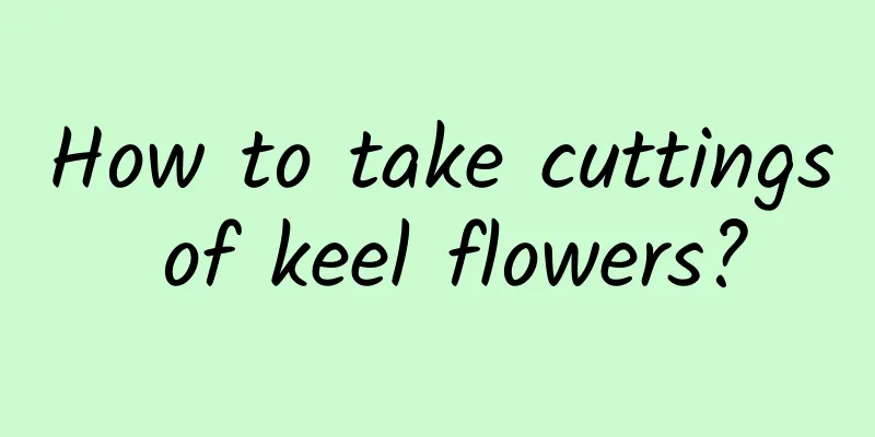 How to take cuttings of keel flowers?