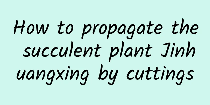How to propagate the succulent plant Jinhuangxing by cuttings