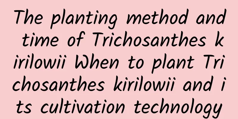 The planting method and time of Trichosanthes kirilowii When to plant Trichosanthes kirilowii and its cultivation technology