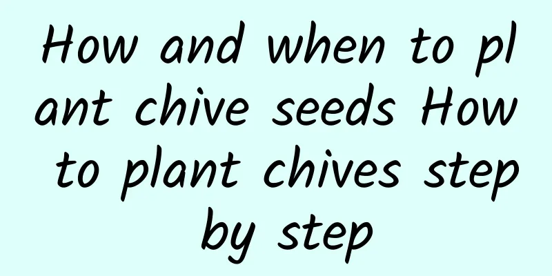 How and when to plant chive seeds How to plant chives step by step