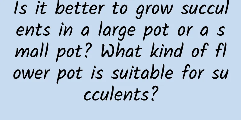 Is it better to grow succulents in a large pot or a small pot? What kind of flower pot is suitable for succulents?