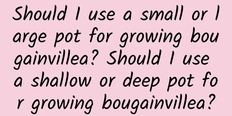Should I use a small or large pot for growing bougainvillea? Should I use a shallow or deep pot for growing bougainvillea?
