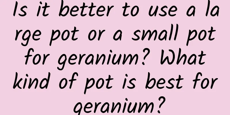 Is it better to use a large pot or a small pot for geranium? What kind of pot is best for geranium?