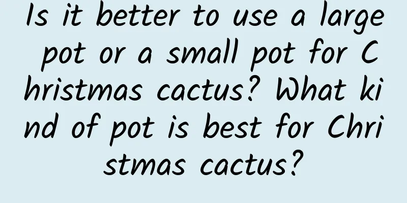 Is it better to use a large pot or a small pot for Christmas cactus? What kind of pot is best for Christmas cactus?