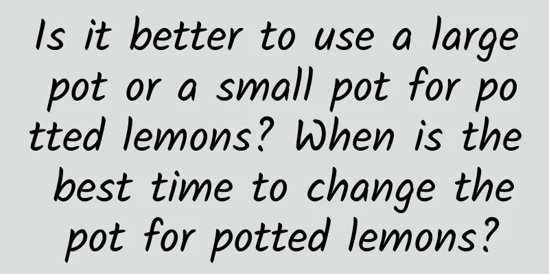 Is it better to use a large pot or a small pot for potted lemons? When is the best time to change the pot for potted lemons?