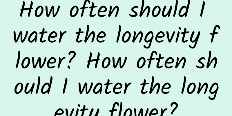 How often should I water the longevity flower? How often should I water the longevity flower?