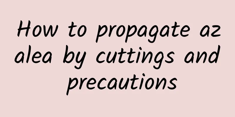 How to propagate azalea by cuttings and precautions