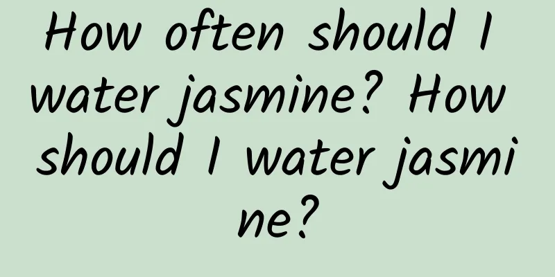 How often should I water jasmine? How should I water jasmine?