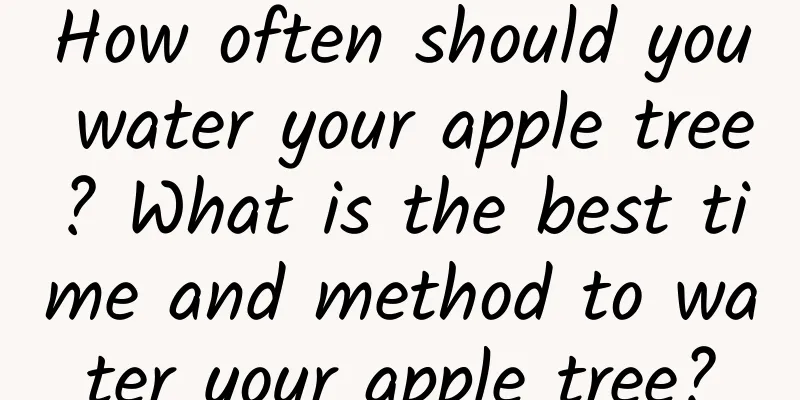 How often should you water your apple tree? What is the best time and method to water your apple tree?
