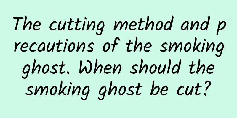 The cutting method and precautions of the smoking ghost. When should the smoking ghost be cut?