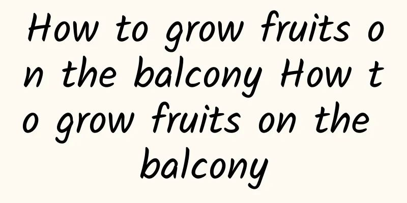 How to grow fruits on the balcony How to grow fruits on the balcony