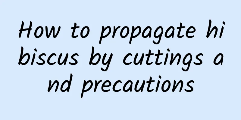 How to propagate hibiscus by cuttings and precautions