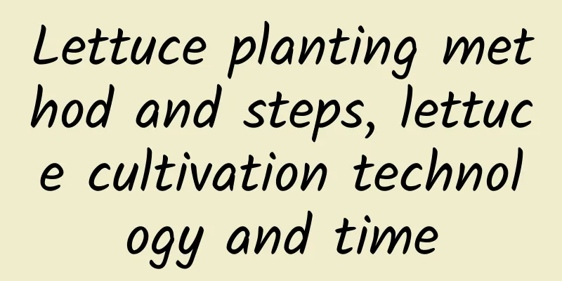 Lettuce planting method and steps, lettuce cultivation technology and time