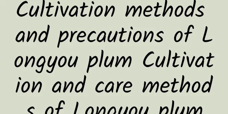 Cultivation methods and precautions of Longyou plum Cultivation and care methods of Longyou plum