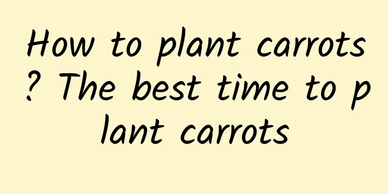 How to plant carrots? The best time to plant carrots