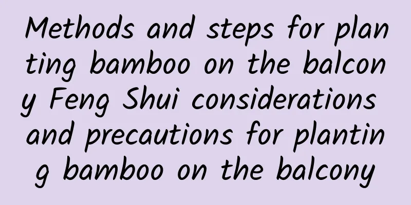 Methods and steps for planting bamboo on the balcony Feng Shui considerations and precautions for planting bamboo on the balcony
