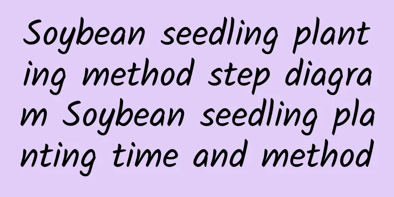 Soybean seedling planting method step diagram Soybean seedling planting time and method