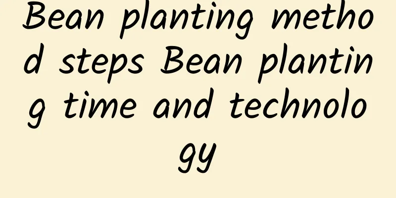 Bean planting method steps Bean planting time and technology