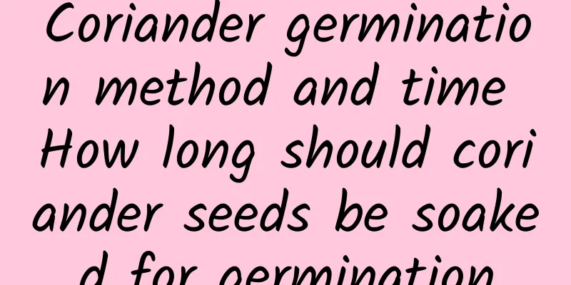 Coriander germination method and time How long should coriander seeds be soaked for germination
