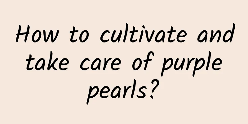 How to cultivate and take care of purple pearls?