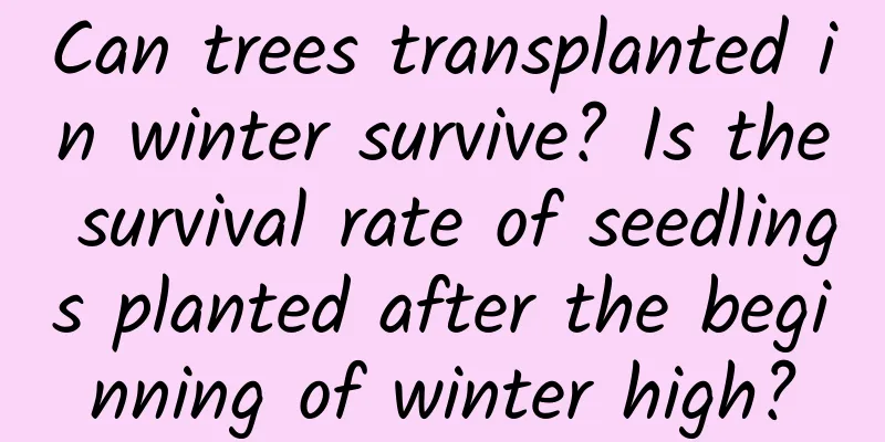 Can trees transplanted in winter survive? Is the survival rate of seedlings planted after the beginning of winter high?