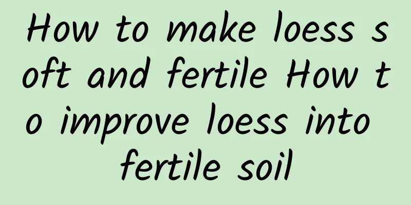 How to make loess soft and fertile How to improve loess into fertile soil