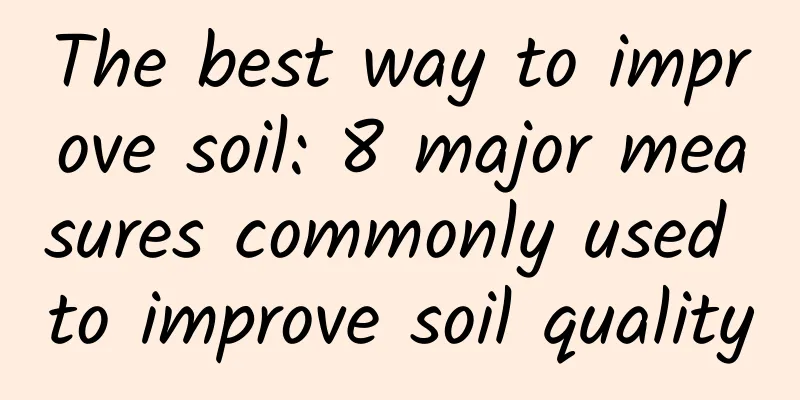 The best way to improve soil: 8 major measures commonly used to improve soil quality