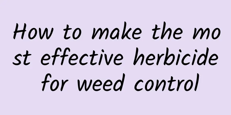 How to make the most effective herbicide for weed control