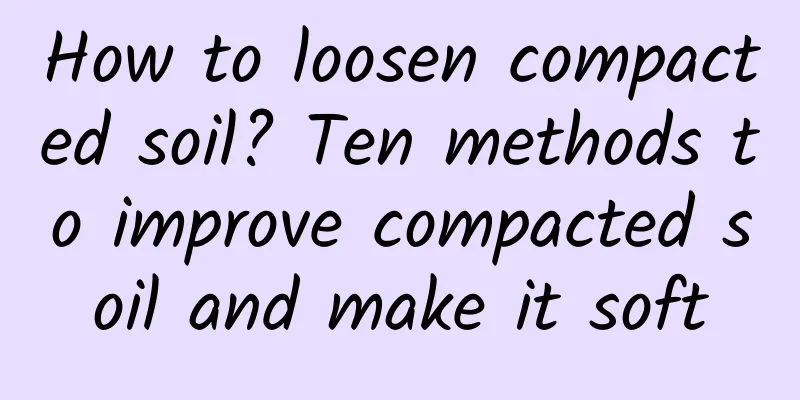 How to loosen compacted soil? Ten methods to improve compacted soil and make it soft