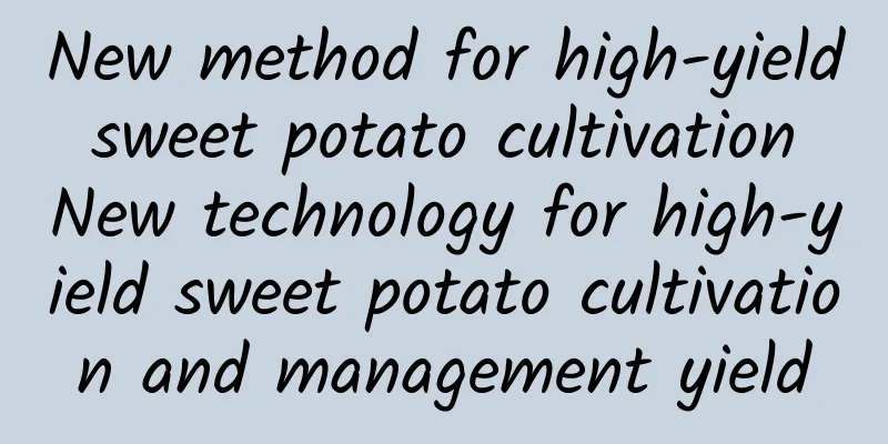 New method for high-yield sweet potato cultivation New technology for high-yield sweet potato cultivation and management yield