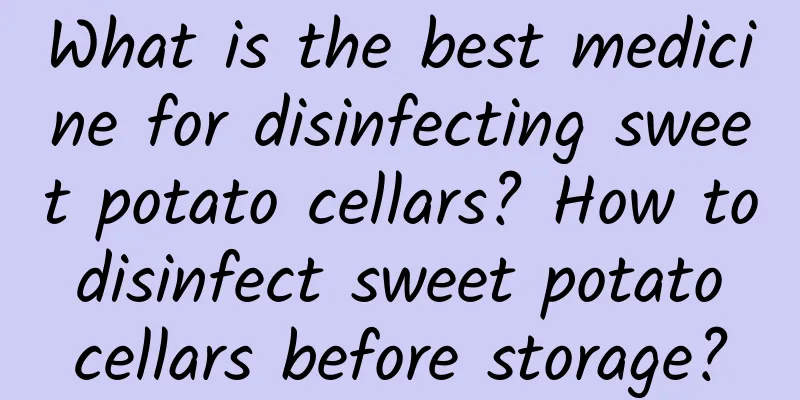 What is the best medicine for disinfecting sweet potato cellars? How to disinfect sweet potato cellars before storage?