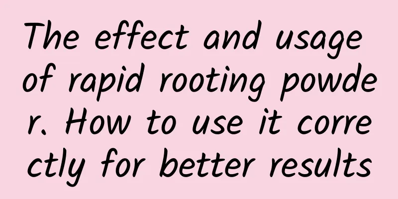 The effect and usage of rapid rooting powder. How to use it correctly for better results