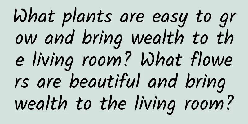 What plants are easy to grow and bring wealth to the living room? What flowers are beautiful and bring wealth to the living room?