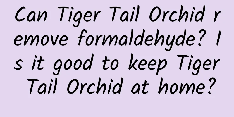 Can Tiger Tail Orchid remove formaldehyde? Is it good to keep Tiger Tail Orchid at home?