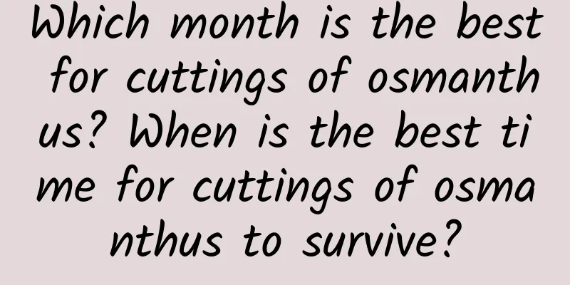 Which month is the best for cuttings of osmanthus? When is the best time for cuttings of osmanthus to survive?