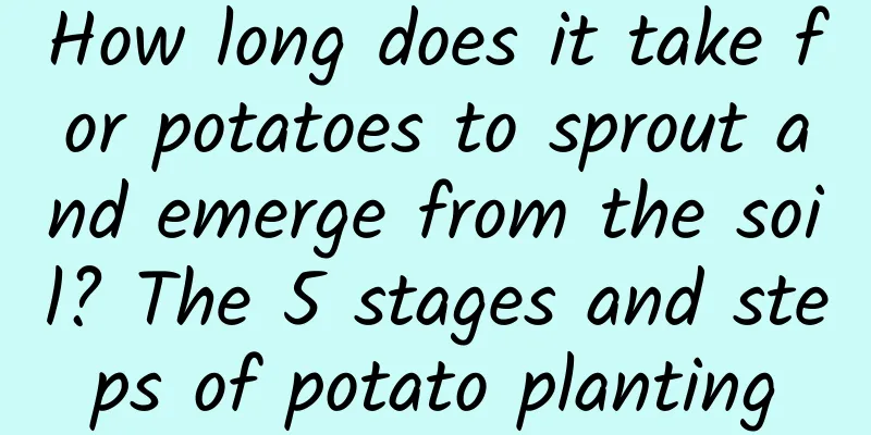 How long does it take for potatoes to sprout and emerge from the soil? The 5 stages and steps of potato planting