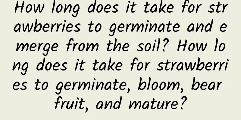 How long does it take for strawberries to germinate and emerge from the soil? How long does it take for strawberries to germinate, bloom, bear fruit, and mature?