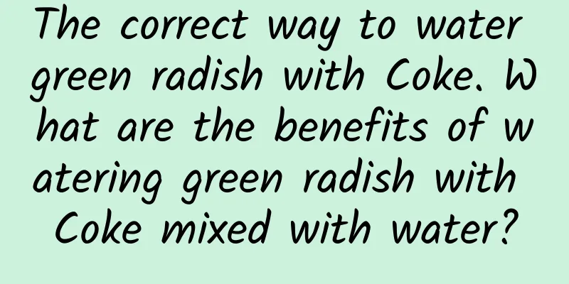 The correct way to water green radish with Coke. What are the benefits of watering green radish with Coke mixed with water?