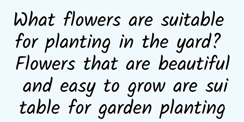 What flowers are suitable for planting in the yard? Flowers that are beautiful and easy to grow are suitable for garden planting