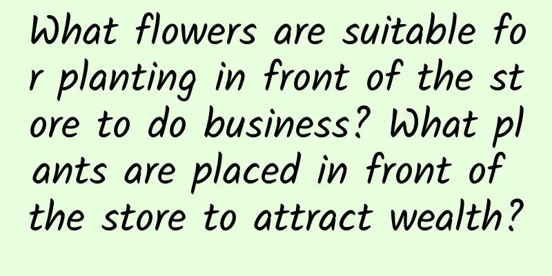 What flowers are suitable for planting in front of the store to do business? What plants are placed in front of the store to attract wealth?