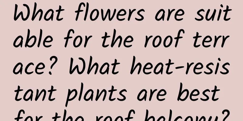 What flowers are suitable for the roof terrace? What heat-resistant plants are best for the roof balcony?