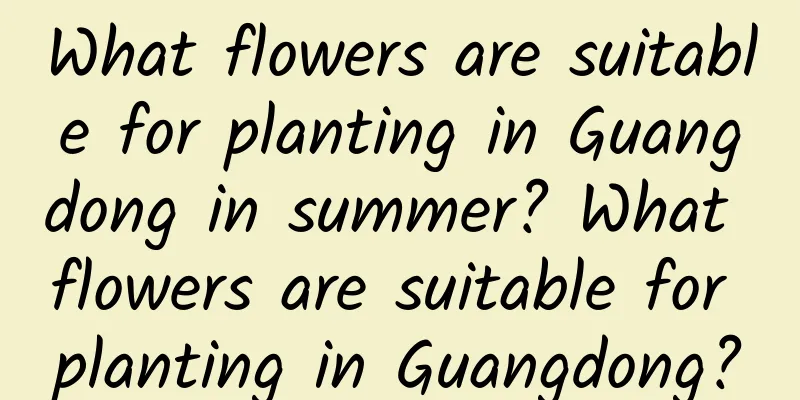 What flowers are suitable for planting in Guangdong in summer? What flowers are suitable for planting in Guangdong?