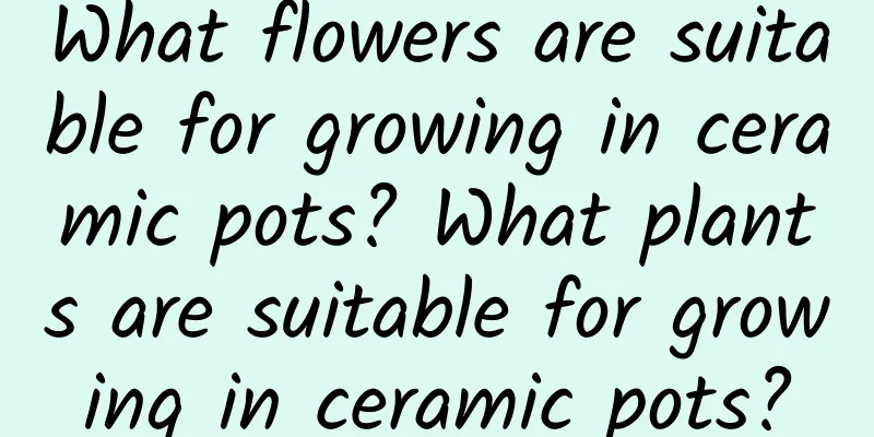 What flowers are suitable for growing in ceramic pots? What plants are suitable for growing in ceramic pots?