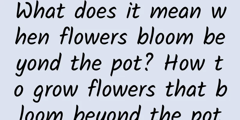 What does it mean when flowers bloom beyond the pot? How to grow flowers that bloom beyond the pot