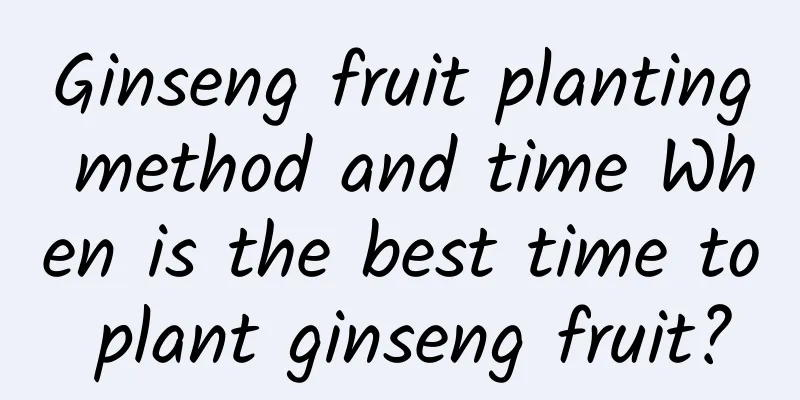 Ginseng fruit planting method and time When is the best time to plant ginseng fruit?