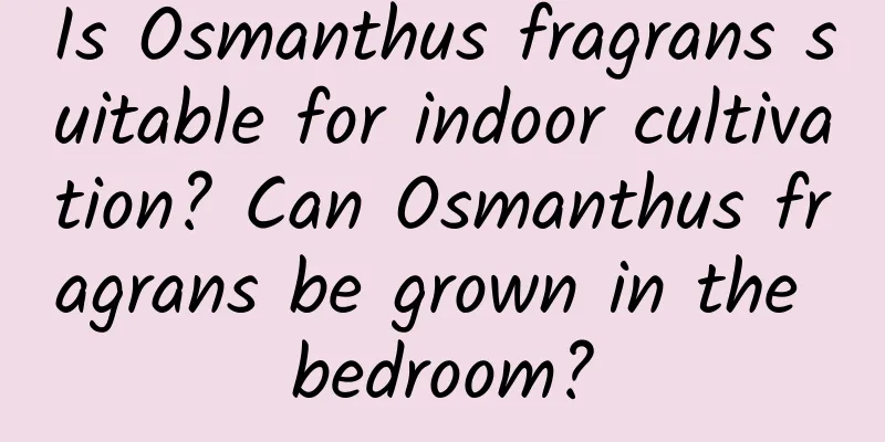 Is Osmanthus fragrans suitable for indoor cultivation? Can Osmanthus fragrans be grown in the bedroom?