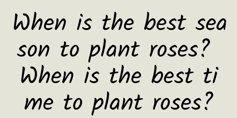 When is the best season to plant roses? When is the best time to plant roses?