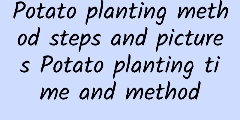 Potato planting method steps and pictures Potato planting time and method